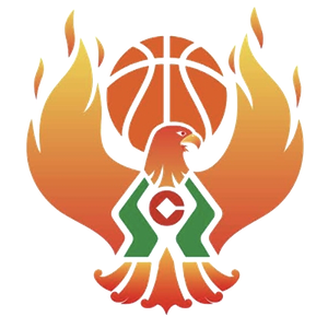 https://img.junshunda.com/img/basketball/team/09b49d34027e0409a4de3295f8c71a2d.png